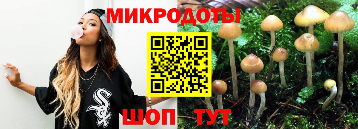 Новоалександровск  Псилоцибиновые грибы GOLDEN TEACHER  Вход с VPN 